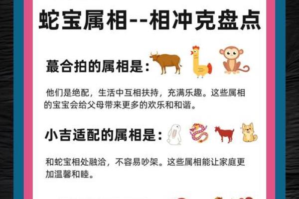 属相相冲的原因和影响解析