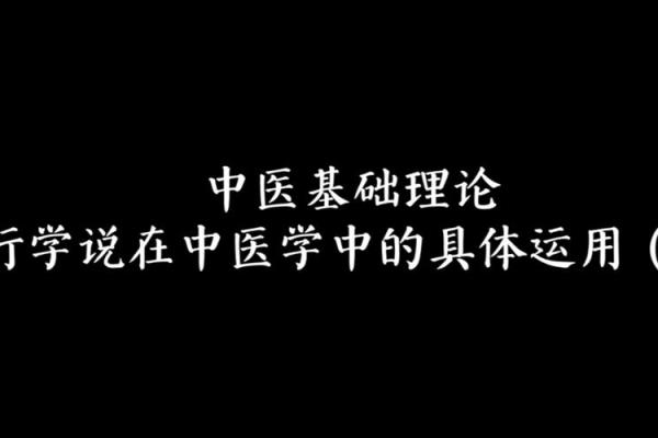 子五行在五行理论中的独特定位与应用