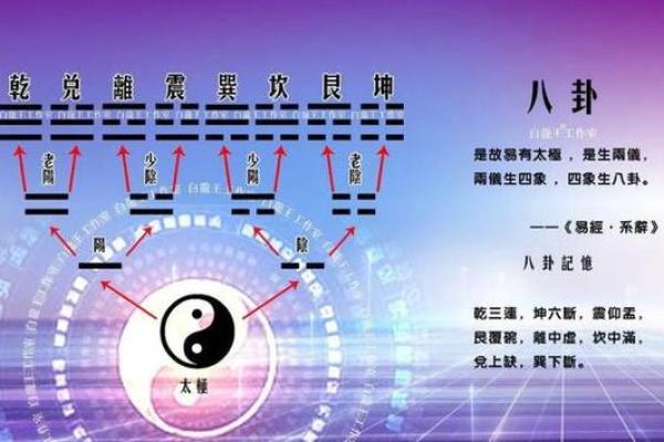 子五行在五行理论中的独特定位与应用