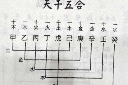 八字合化在命理中的重要性与应用解析