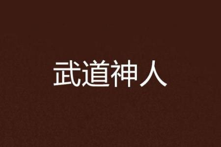武命与武道精神：如何理解这两者的联系