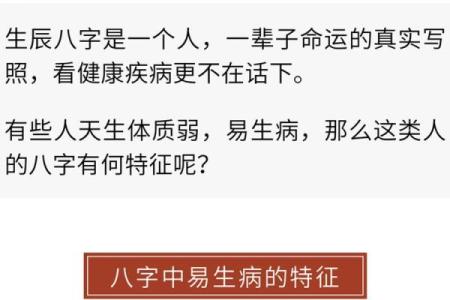 八字骨图片与个人体质的关系揭秘