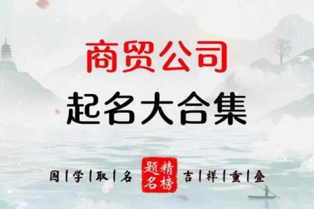 公司起名库：帮你为企业定制一个符合市场需求的名字