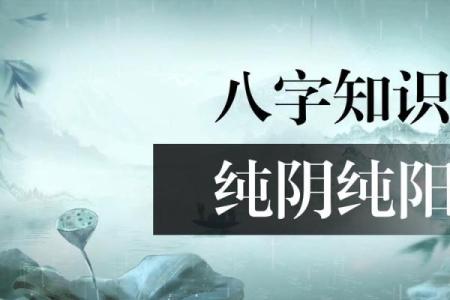 纯阳八字在命理学中的重要性