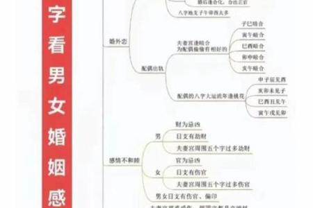 如何通过八字分析判断自己的五行属性