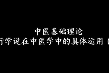 子五行在五行理论中的独特定位与应用
