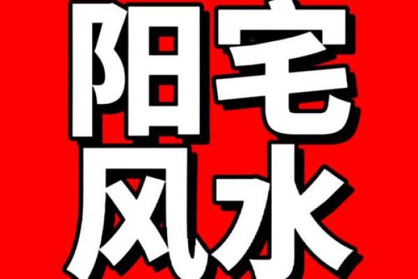 东四命中的震命特征与运势解读