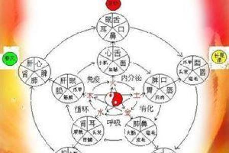 穆字五行属性分析及其在命理中的意义