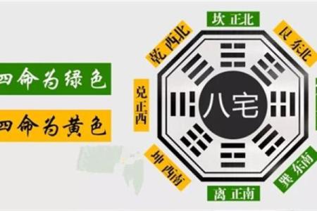 东四命中的震命特征与运势解读