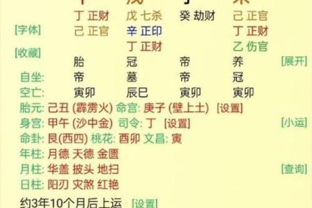 八字宫位解析：如何通过宫位理解命运与性格的深层联系
