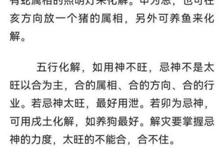 纯阳命与五行八字的关系：揭开命理的神秘面纱