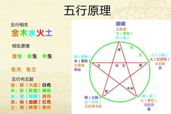 欣五行属性解析及其相关意义探讨