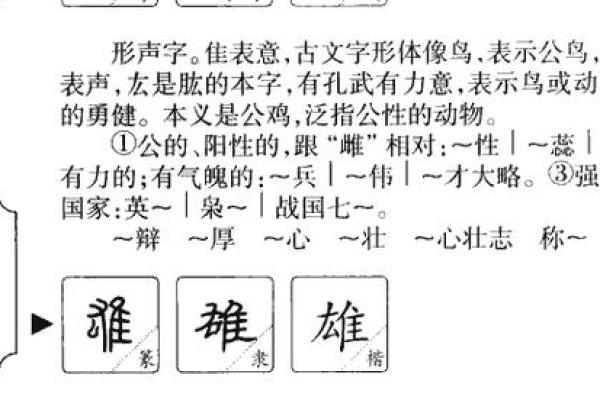 欣五行属性解析及其相关意义探讨