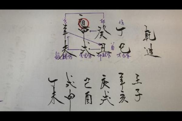 寒命人命运多舛 解析寒命人的生活与性格