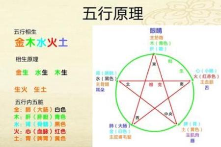 欣五行属性解析及其相关意义探讨