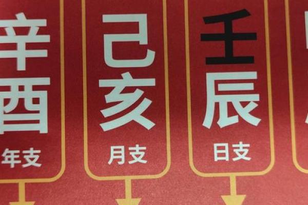 乙丙天干如何在八字中展现不同命运轨迹