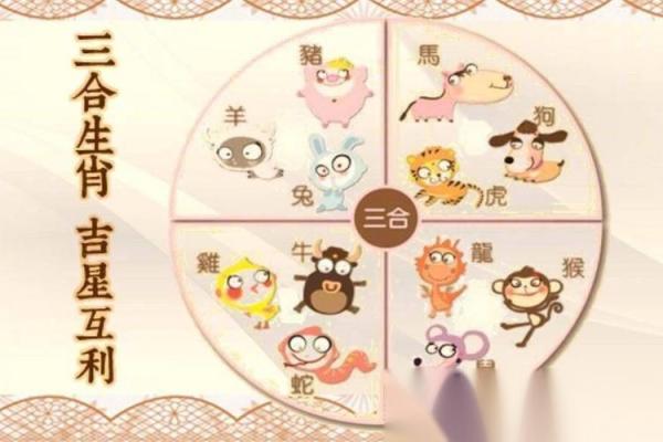 属相相冲是否真的会带来灾难