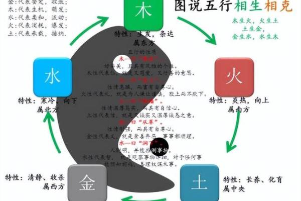 日天干论与五行相生相克的命理分析