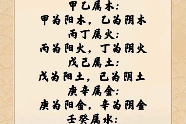 天干概述及其在传统文化中的重要性