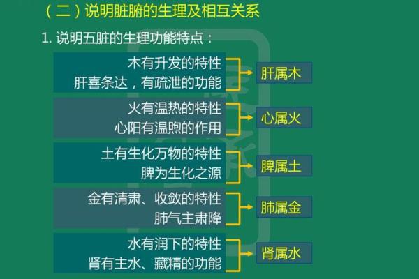 安五行理论在现代社会中的实际应用与影响
