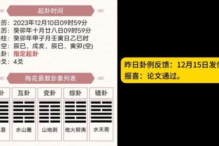 梅花卦排盘技巧与应用详解