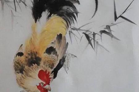鸡年命运解析：属鸡人适合什么命运格局