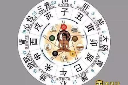 辰时出生的人命运如何？细说辰时的五行特征