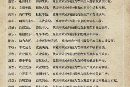 免费公司起名工具推荐大全