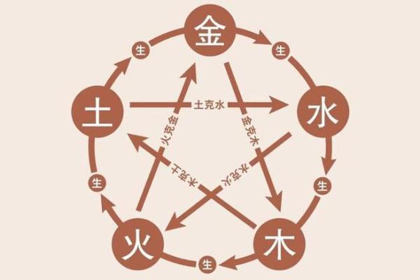 五行水生木的秘密与自然法则解析