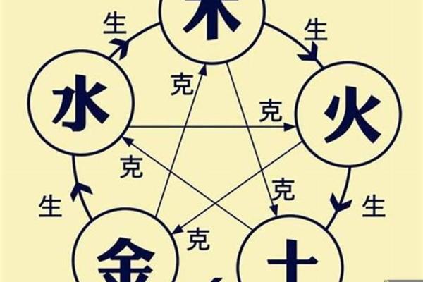 如何解读葵水命人的性格与运势