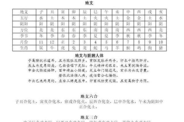 天干全壬如何影响性格与运势