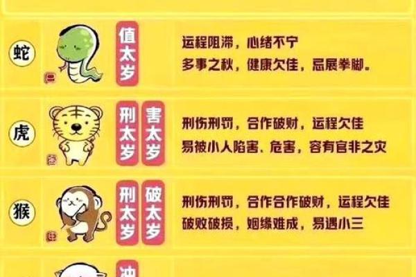 属相相冲如何影响个人事业运