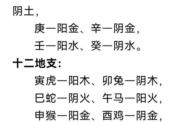 生肖狗与天干的五行关系解析
