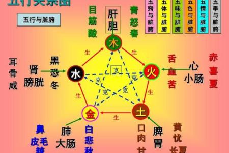 五行水生木的秘密与自然法则解析