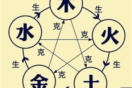 如何解读葵水命人的性格与运势