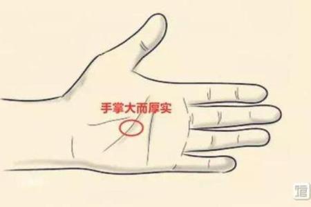 分析太太命的特征：命运中的贵人运与财富运