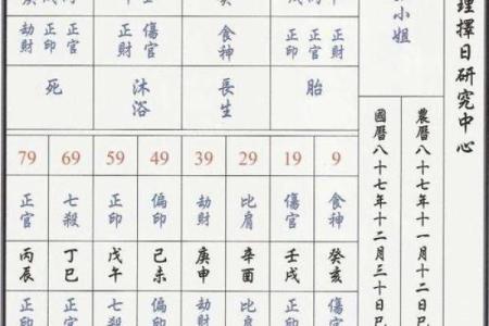 星命排盘解析：如何通过命盘了解个人的命运与未来趋势