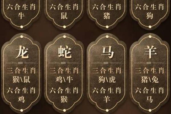 属相相冲能否通过命理补救