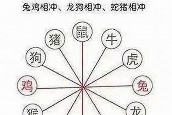 属相相冲如何影响婚姻关系的稳定