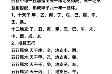 如何通过八字命宫排盘揭示个人命运走向