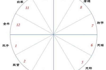 手机综合排盘：快速了解你的星座命盘