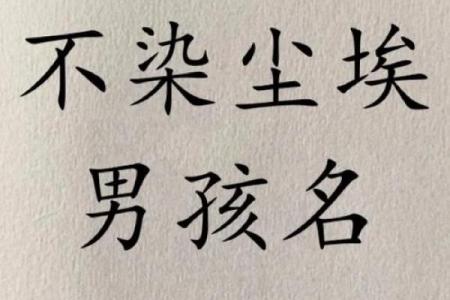 猴年男宝宝名字选择指南：寓意与音韵的完美结合
