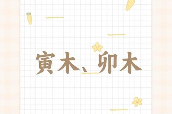 寅中藏天干奥秘解析：五行与命理的深层关系