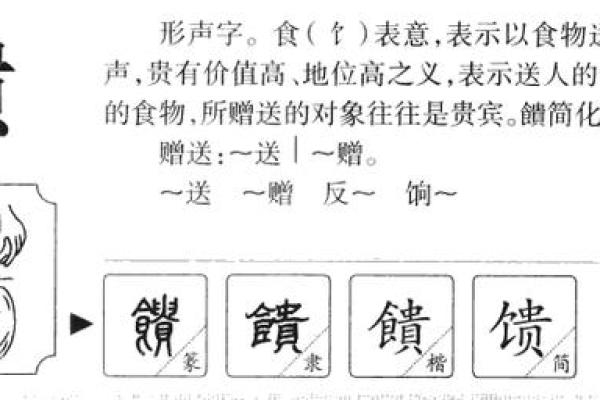 波字五行属什么及其文化寓意解析