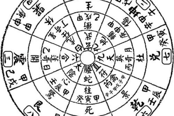 流年运势透视：紫薇排盘如何揭示未来的运程