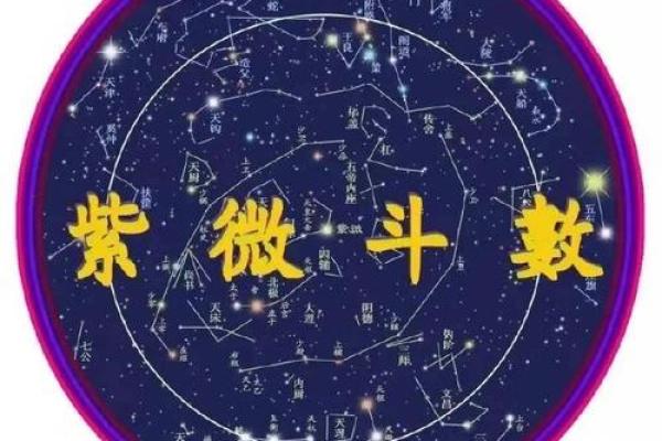 流年运势透视：紫薇排盘如何揭示未来的运程