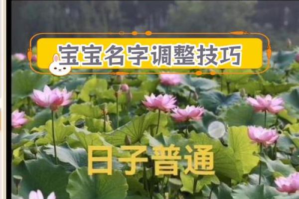 鸡年申姓宝宝命名推荐