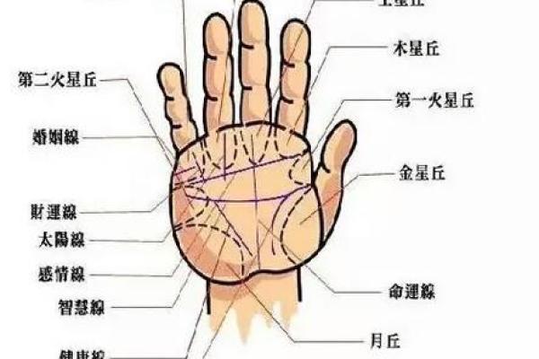 男人手相解析：揭示性格与命运的神秘密码
