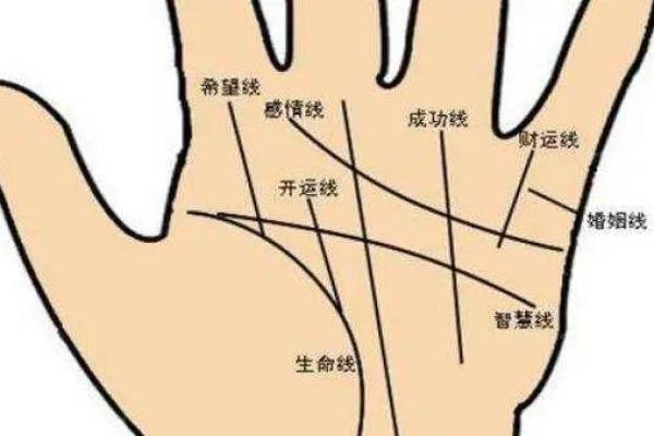 男人手相解析：揭示性格与命运的神秘密码