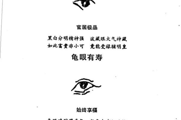 如何通过手相自学掌握面相与命运的奥秘